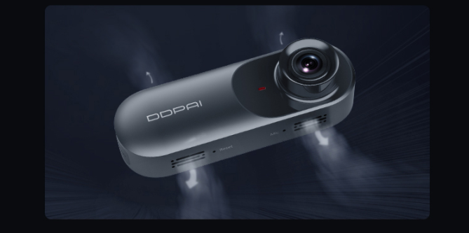 Car Dash Cam - Boho Roe