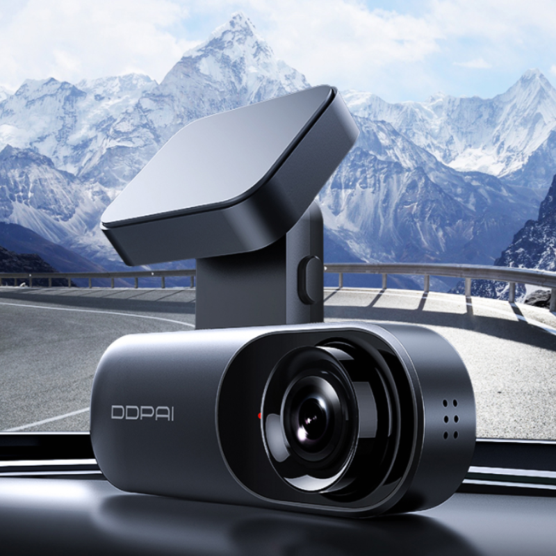Car Dash Cam - Boho Roe