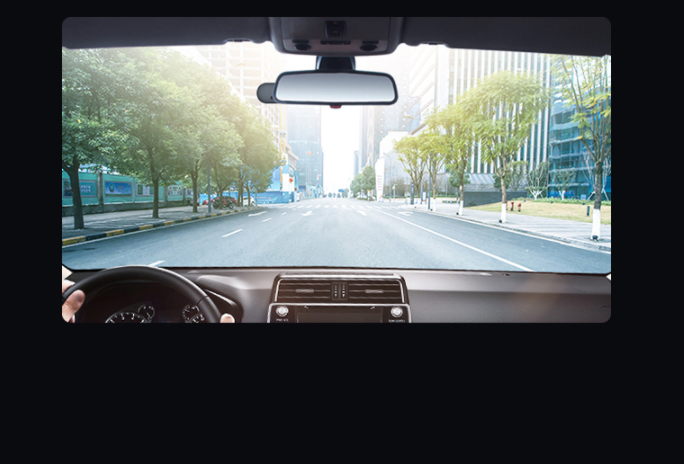 Car Dash Cam - Boho Roe